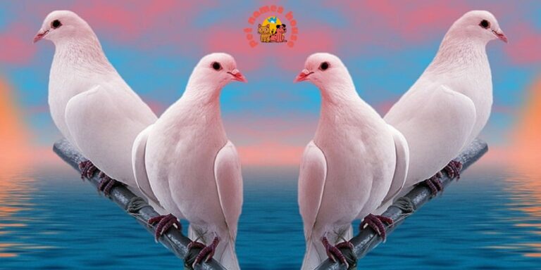 Pet Pigeon Names Good Pigeon Names Funny Pigeon Names Best Pigeon Names Cute Pigeon Names Cool Pigeon Names Male Pigeon Names Female Pigeon Names Baby Pigeon Names Unique Pigeon Names Nicknames for Pigeon Grey Pigeon Names Racing Pigeon Names Badass Pigeon Names Black Pigeon Names White Pigeon Names Red Pigeon Names Black and White Pigeon Names Shy Pigeon Names Unisex Names for Pigeons Famous Pigeon Names Fictional Characters Pigeon Names Fancy Names for a Common Pigeon Soaring High: 10 Majestic Pigeon Names Colorful Companions Literary Luminaries Feathered Foodies Melodious Monikers Celestial Charmers Historical Heroes Quirky Quills Gender-Specific Monikers Female-Focused Names A to Z Pigeon Names (5 Standouts per Letter)
