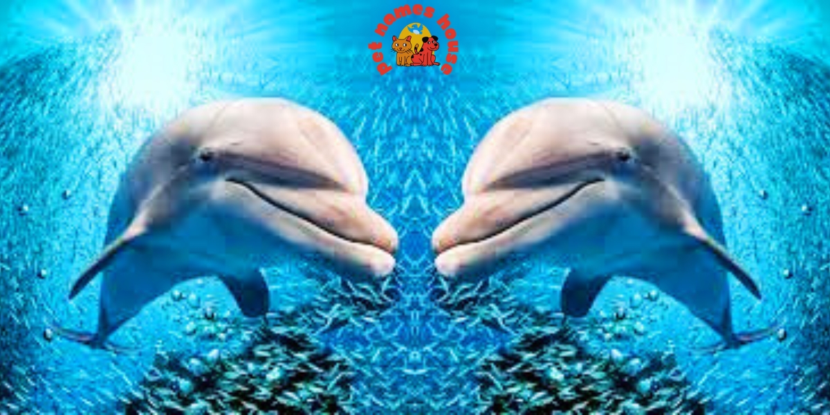 Unique Dolphin Names Best Dolphin Names famous dolphin names cute dolphin names good dolphin names funny dolphin names popular dolphin names cool dolphin names male dolphin names female dolphin names baby dolphin names Nickname For Dolphin seaworld dolphin names dolphin names in movies discovery cove dolphin names Inspiration for Dolphin Names Cultural Influences Dolphin Names Oceanic Themes Dolphin Names