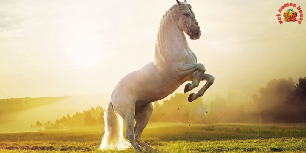 Cute Horse Names
Rare Horse Names
Good Horse Names
Popular Horse Names
Classic Horse Names
Funny Horse Names
Creative Horse Names
Nicknames For Horse
Badass Horse Names
Unique Horse Names
Famous Horse Names
Race Horse Names
Sport Horse Names
Cool Horse Names
Best Horse Names
Horse Names for Pairs
Male Horse Names
Female Horse Names
Baby Horse Names
Foal Horse Names