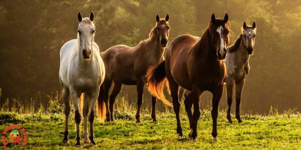 Cute Horse Names
Rare Horse Names
Good Horse Names
Popular Horse Names
Classic Horse Names
Funny Horse Names
Creative Horse Names
Nicknames For Horse
Badass Horse Names
Unique Horse Names
Famous Horse Names
Race Horse Names
Sport Horse Names
Cool Horse Names
Best Horse Names
Horse Names for Pairs
Male Horse Names
Female Horse Names
Baby Horse Names
Foal Horse Names