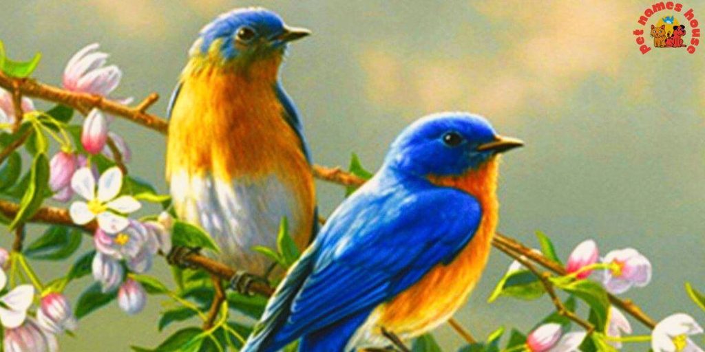 Pet Lovebird Names
Best Lovebird Names
Popular Lovebird Names
Good Lovebird Names
Clever Lovebird Names
Creative Lovebird Names
Cute Lovebird Names
Funny Lovebird Names
Cool Lovebird Names
Unique Lovebird Names
Famous Lovebird Names
Male Lovebird Names
Female Lovebird Names
Baby Lovebird Names
Cartoon Lovebird Names
Lovebird Nicknames
Lovebird Names for Pairs
Color Inspired Lovebird Names
Nature Inspired Lovebird Names
Food Inspired Lovebird Names
Top Lovebird Names
Classic Lovebird Names
Beautiful Lovebird Names